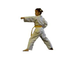 Kids Martial Arts