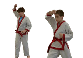 Tae Kwon Do